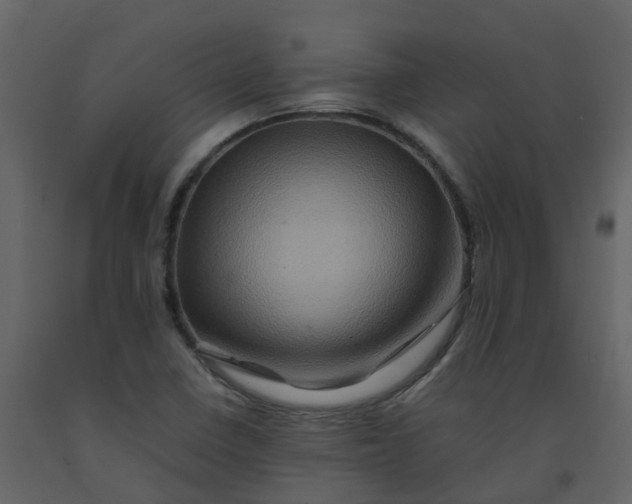 X0000092271410200710051330