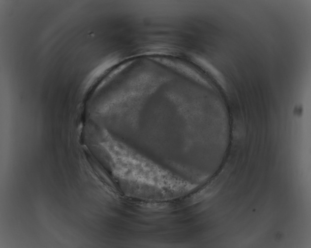 X0000092271411200710051330