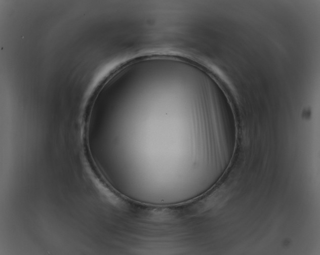 X0000092271416200710051330