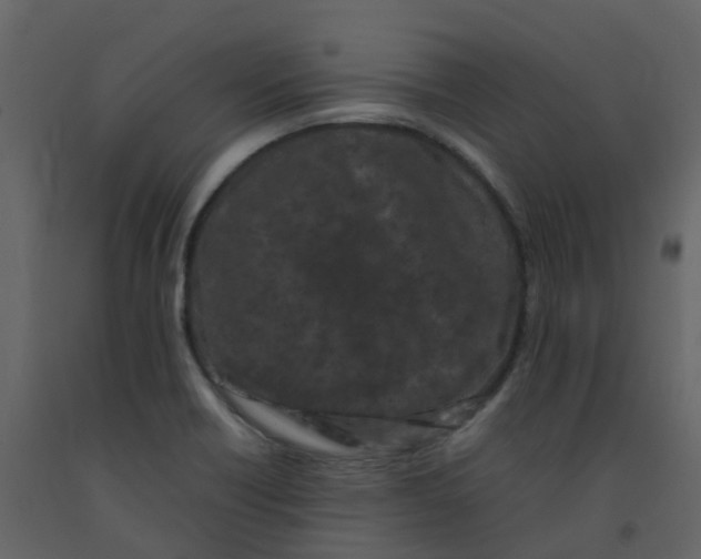 X0000092271418200710051330