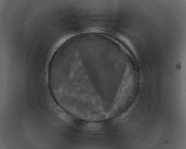 X0000092271419200710051330