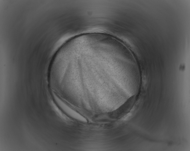 X0000092271422200710051330