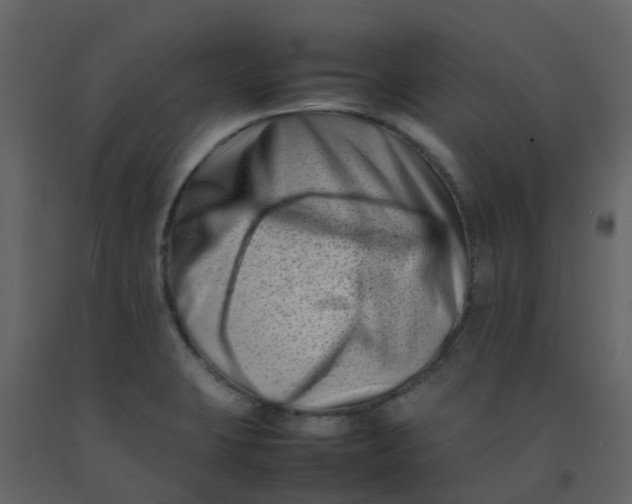 X0000092271423200710051330