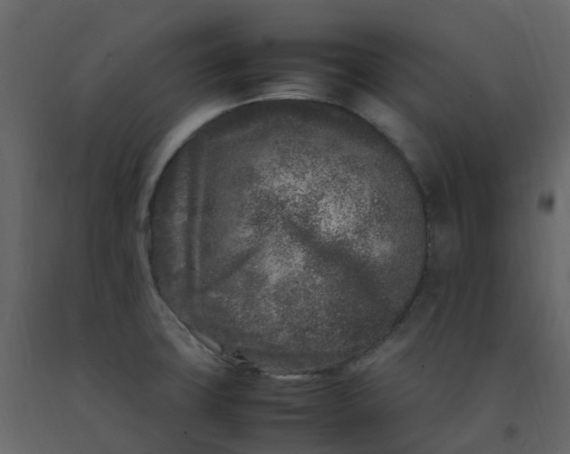 X0000092271427200710051330