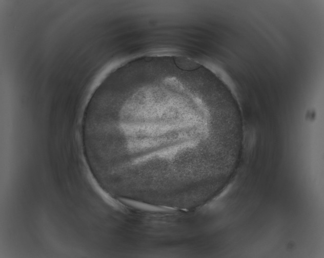 X0000092271429200710051330