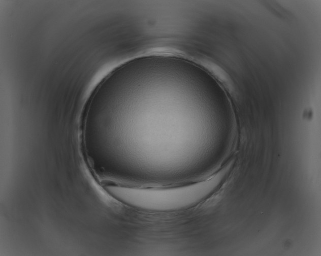 X0000092271430200710051330