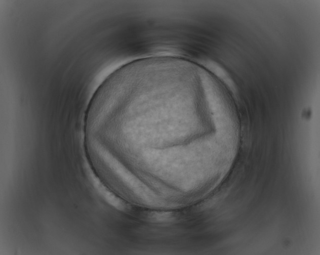 X0000092271431200710051330