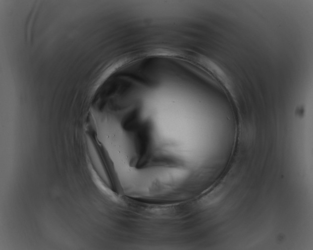 X0000092271433200710051330