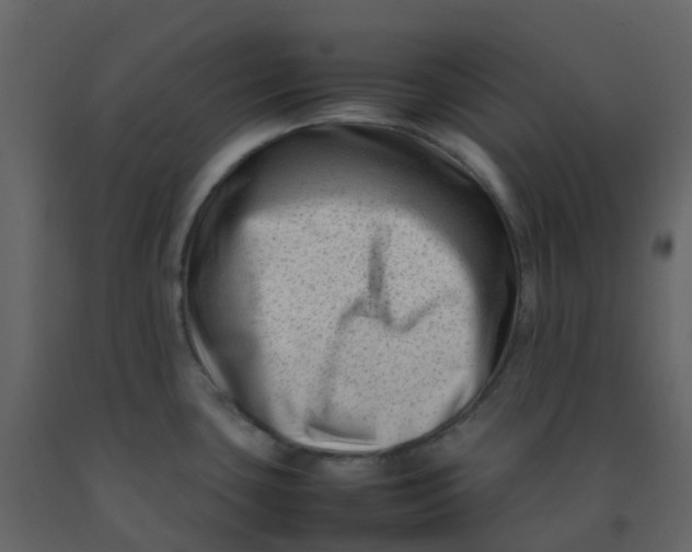 X0000092271435200710051330