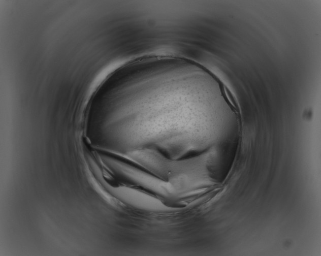 X0000092271437200710051330