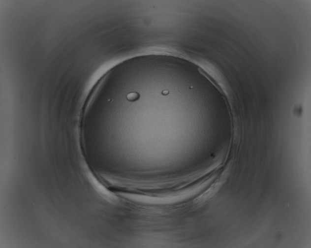 X0000092271438200710051330