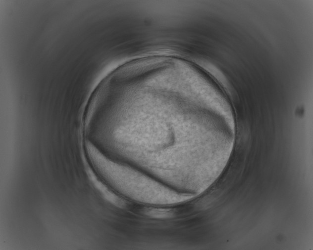 X0000092271439200710051330