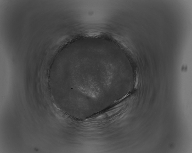 X0000092271441200710051330