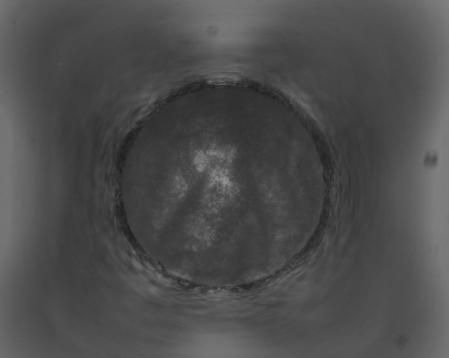 X0000092271445200710051330