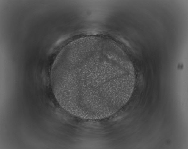 X0000092271446200710051329