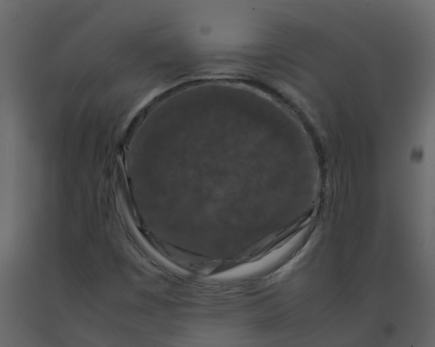X0000092271449200710051329