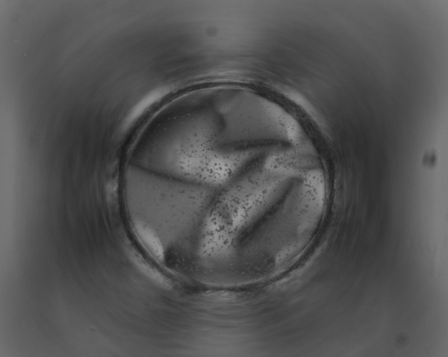 X0000092271450200710051329