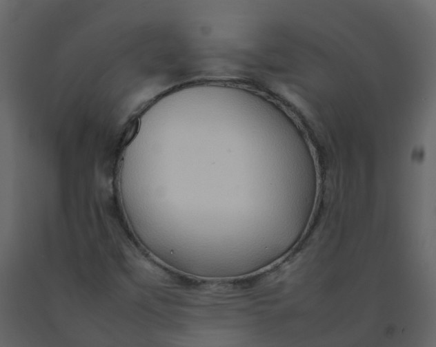 X0000092271451200710051329