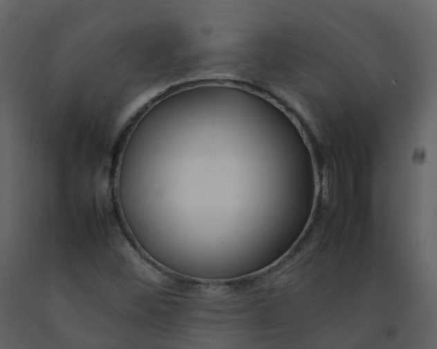 X0000092271452200710051329