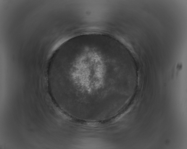 X0000092271453200710051329