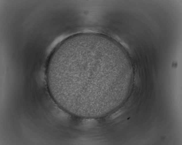 X0000092271454200710051329