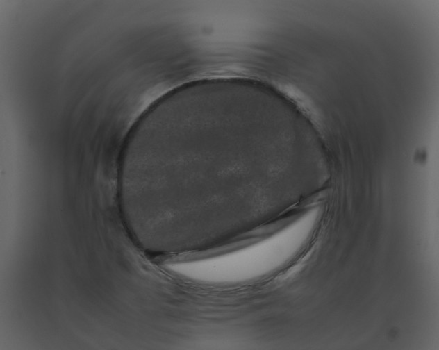 X0000092271457200710051329