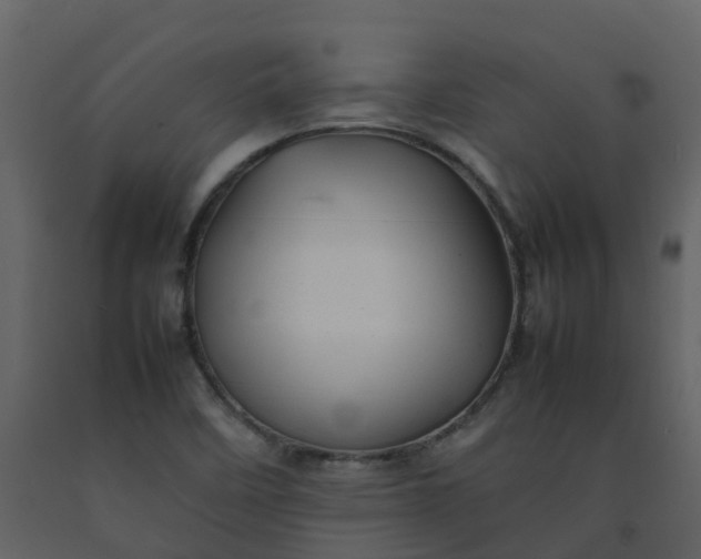 X0000092271458200710051329