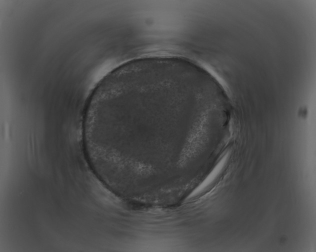 X0000092271459200710051329