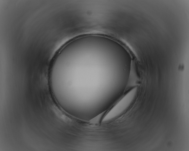 X0000092271460200710051329