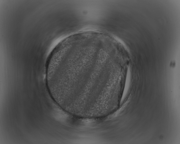 X0000092271461200710051329