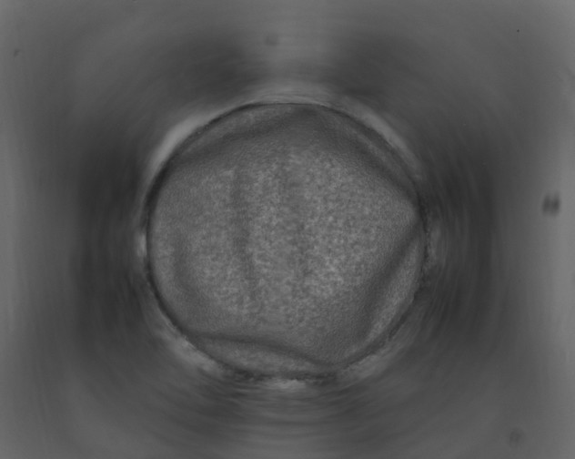 X0000092271462200710051329