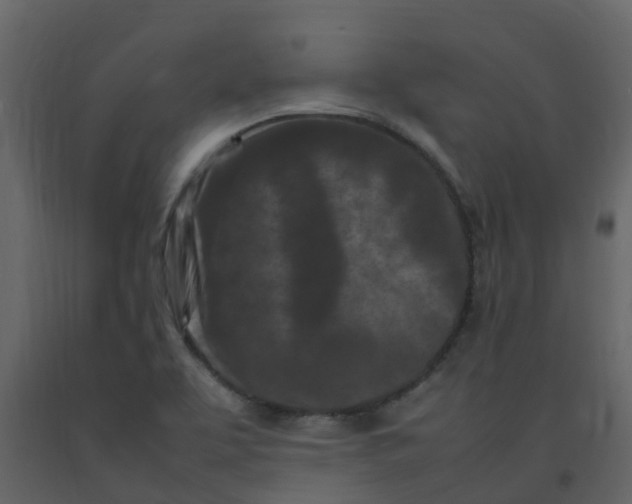 X0000092271463200710051329