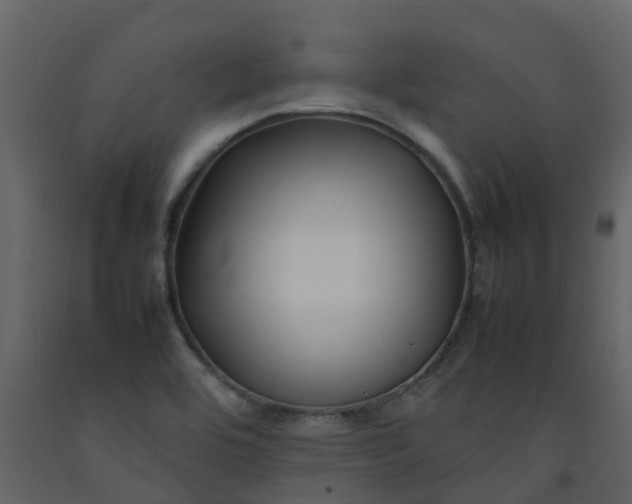 X0000092271464200710051329