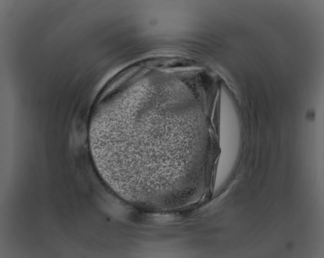 X0000092271465200710051329
