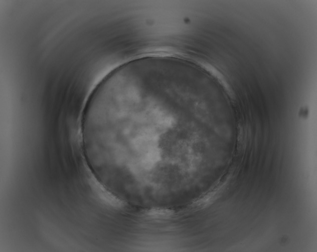 X0000092271466200710051329