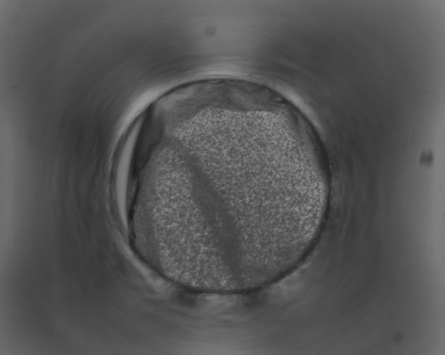 X0000092271469200710051329
