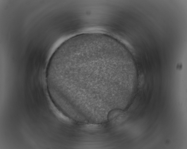 X0000092271470200710051329