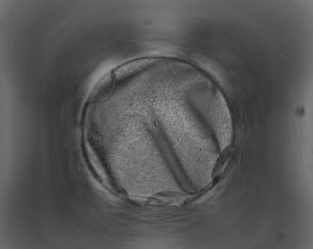 X0000092271471200710051329