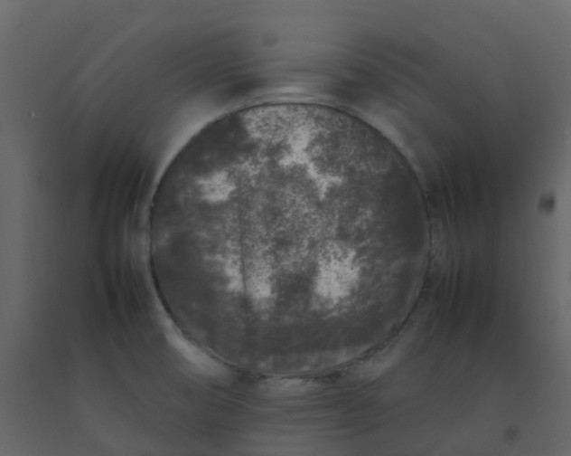 X0000092271474200710051329