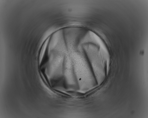 X0000092271475200710051329