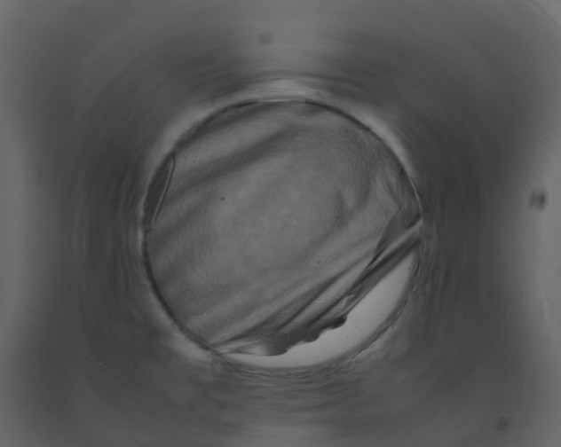 X0000092271477200710051329