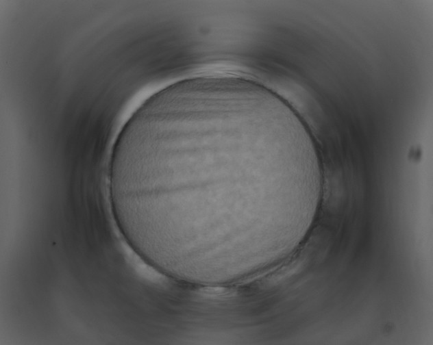 X0000092271478200710051329