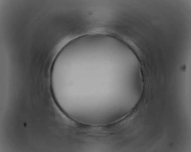 X0000092271479200710051329