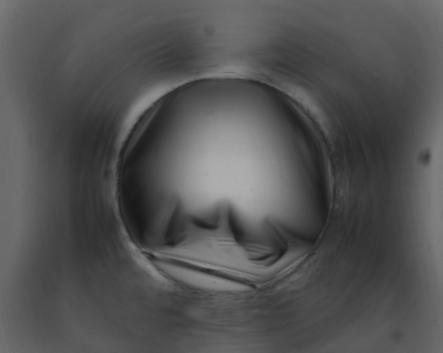 X0000092271480200710051329