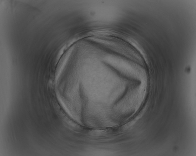 X0000092271481200710051329