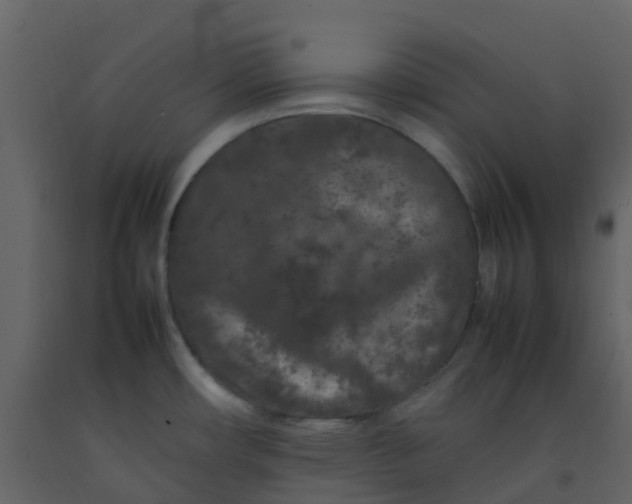 X0000092271482200710051329