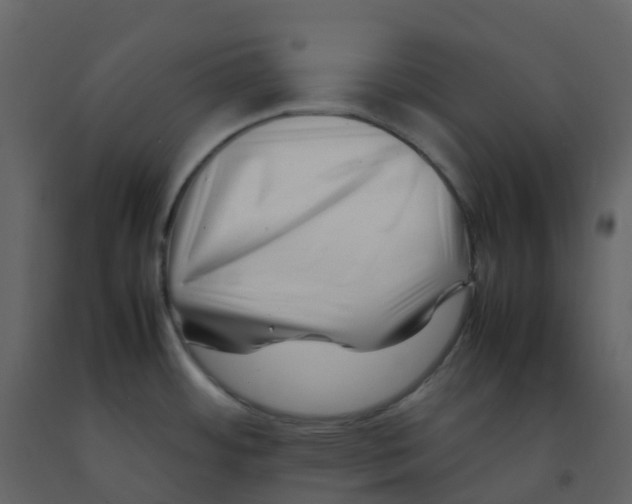 X0000092271484200710051329