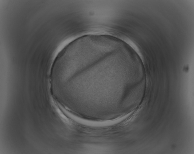 X0000092271485200710051329