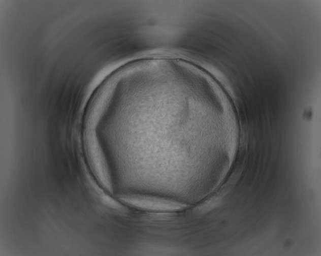 X0000092271486200710051329
