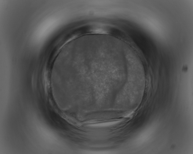 X0000092271487200710051329